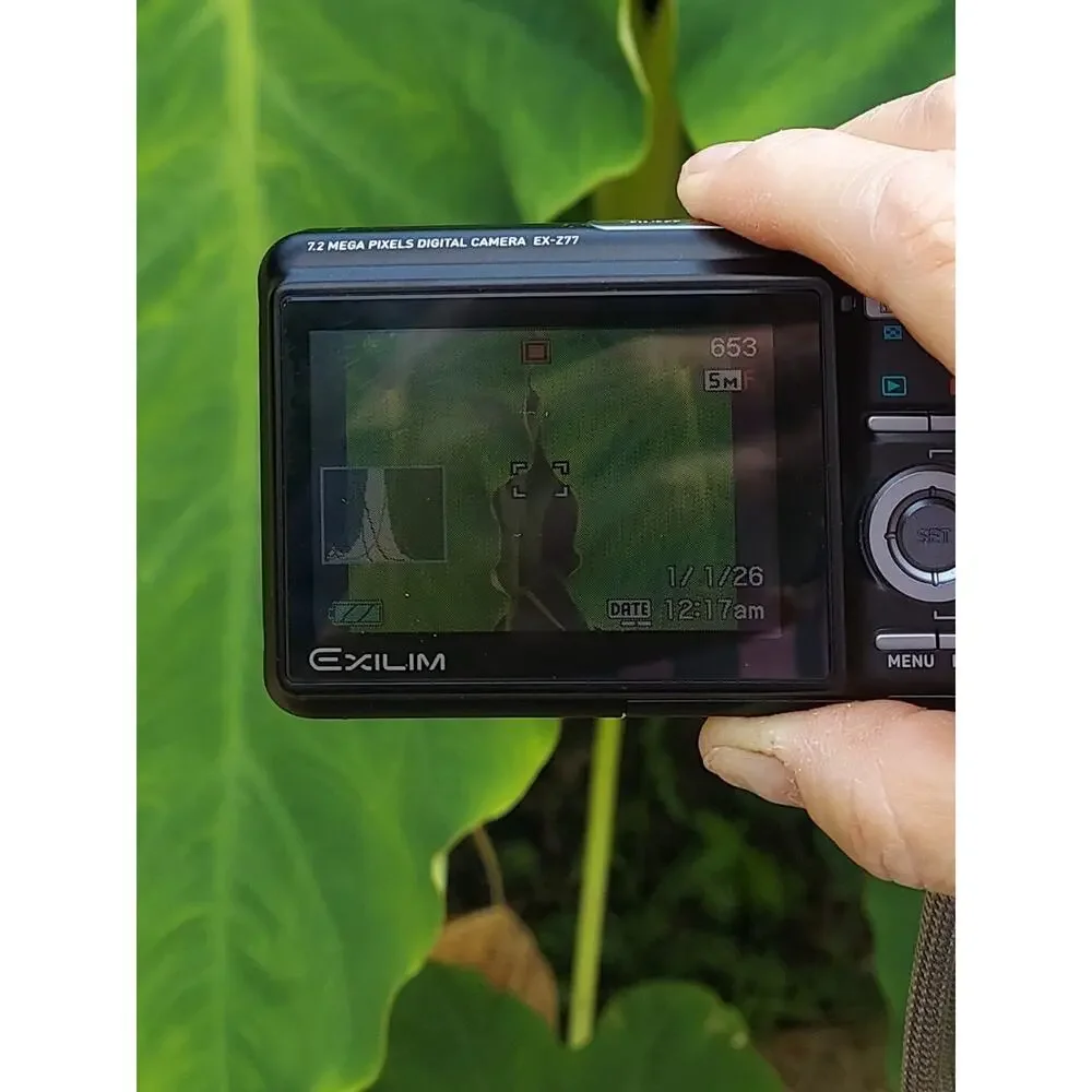 Casio EXILIM Youtube 7.2MP Compact Digital Camera Charger Batteries Cable Case